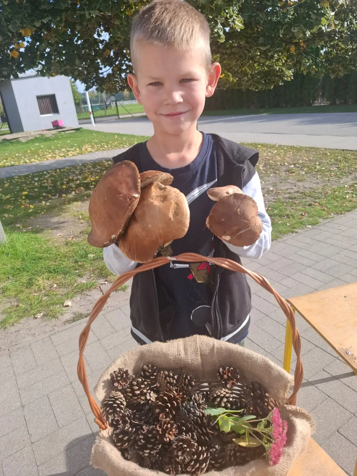 Dzieci ze świetlicy „LIPA” zbierają jesienne liście i szyszki, a następnie wspólnie tworzą z nich słonecznik. Zdjęcia przedstawiają zbieranie materiałów, układanie liści i szyszek oraz gotową pracę z łodygą z patyka i dekoracją z mniejszych kwiatów.