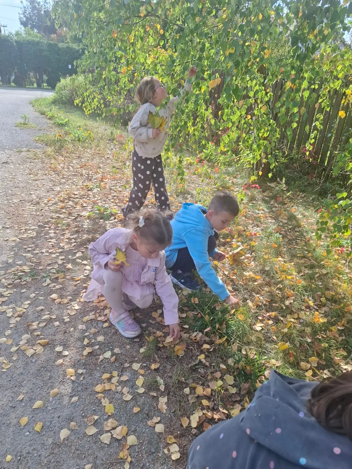 Dzieci ze świetlicy „LIPA” zbierają jesienne liście i szyszki, a następnie wspólnie tworzą z nich słonecznik. Zdjęcia przedstawiają zbieranie materiałów, układanie liści i szyszek oraz gotową pracę z łodygą z patyka i dekoracją z mniejszych kwiatów.