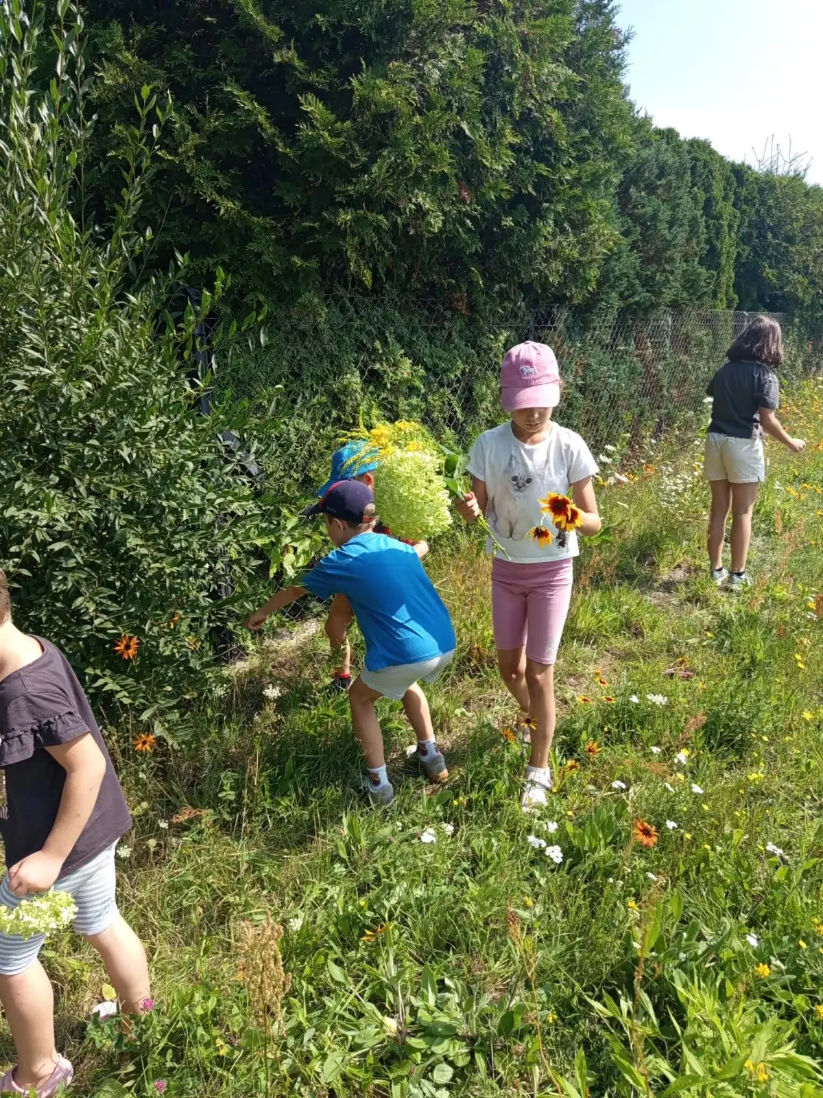 Fotorelacja z 6. tygodnia Akcji Lato 2026 w Świetlicy Środowiskowej „Lipa” w Łazach