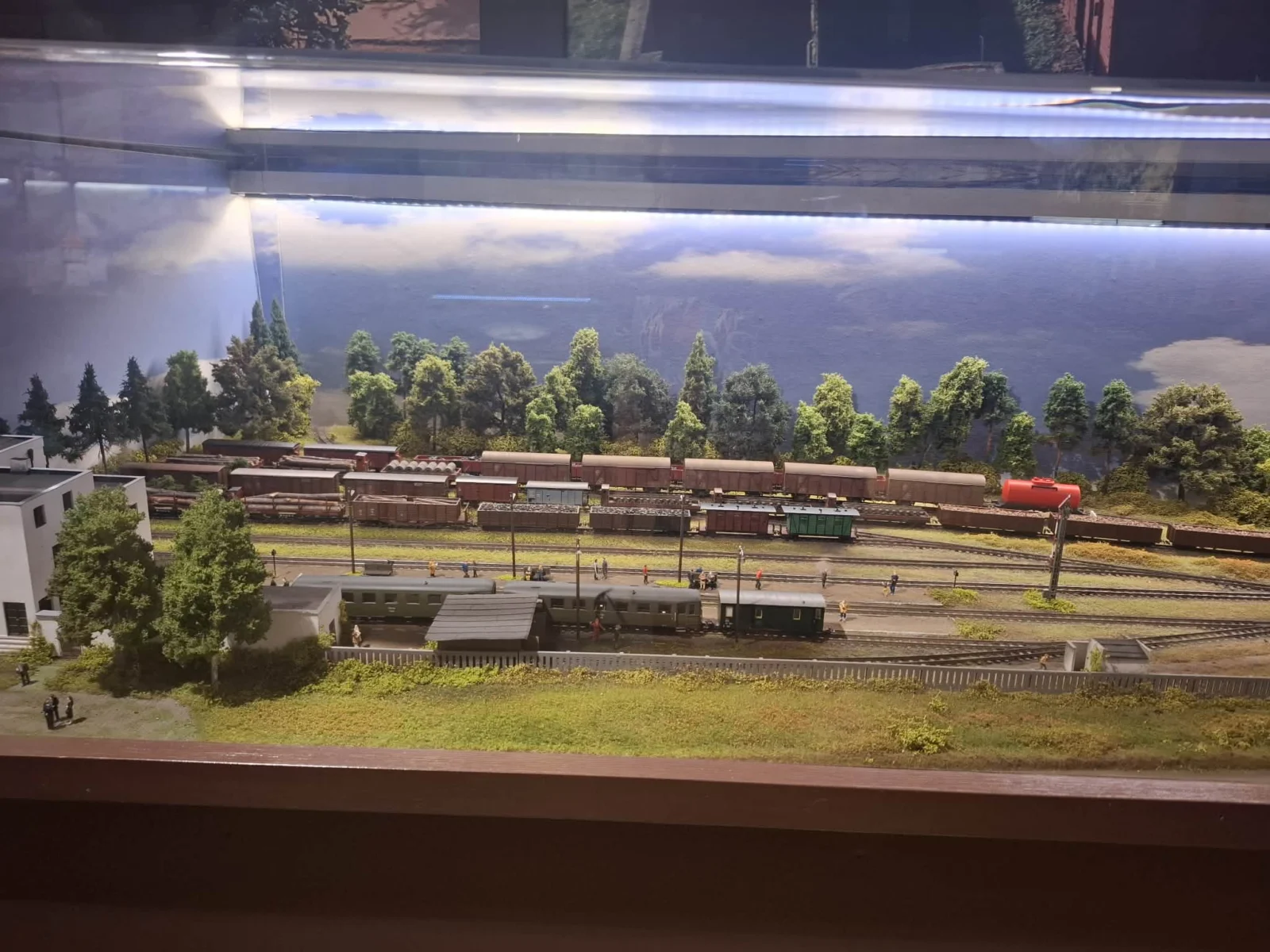 Fotorelacja z 6. tygodnia Akcji Lato 2026 w Świetlicy Środowiskowej „Lipa” w Łazach