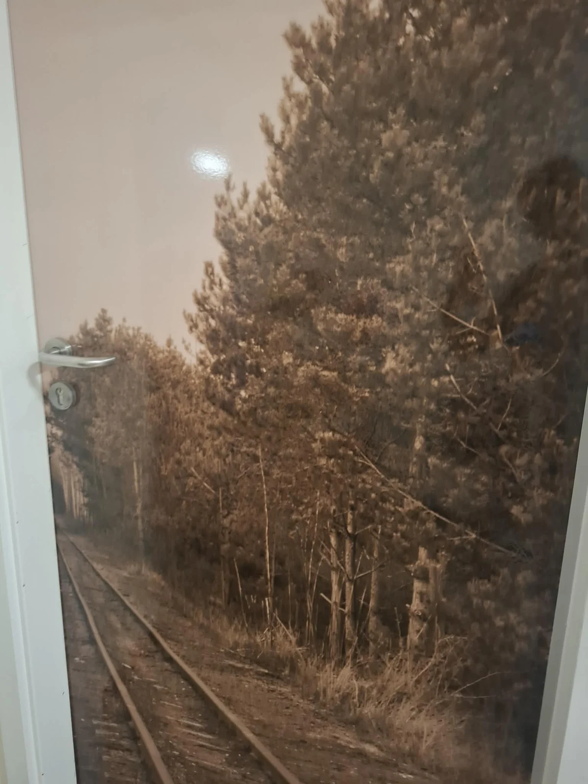 Fotorelacja z 6. tygodnia Akcji Lato 2026 w Świetlicy Środowiskowej „Lipa” w Łazach