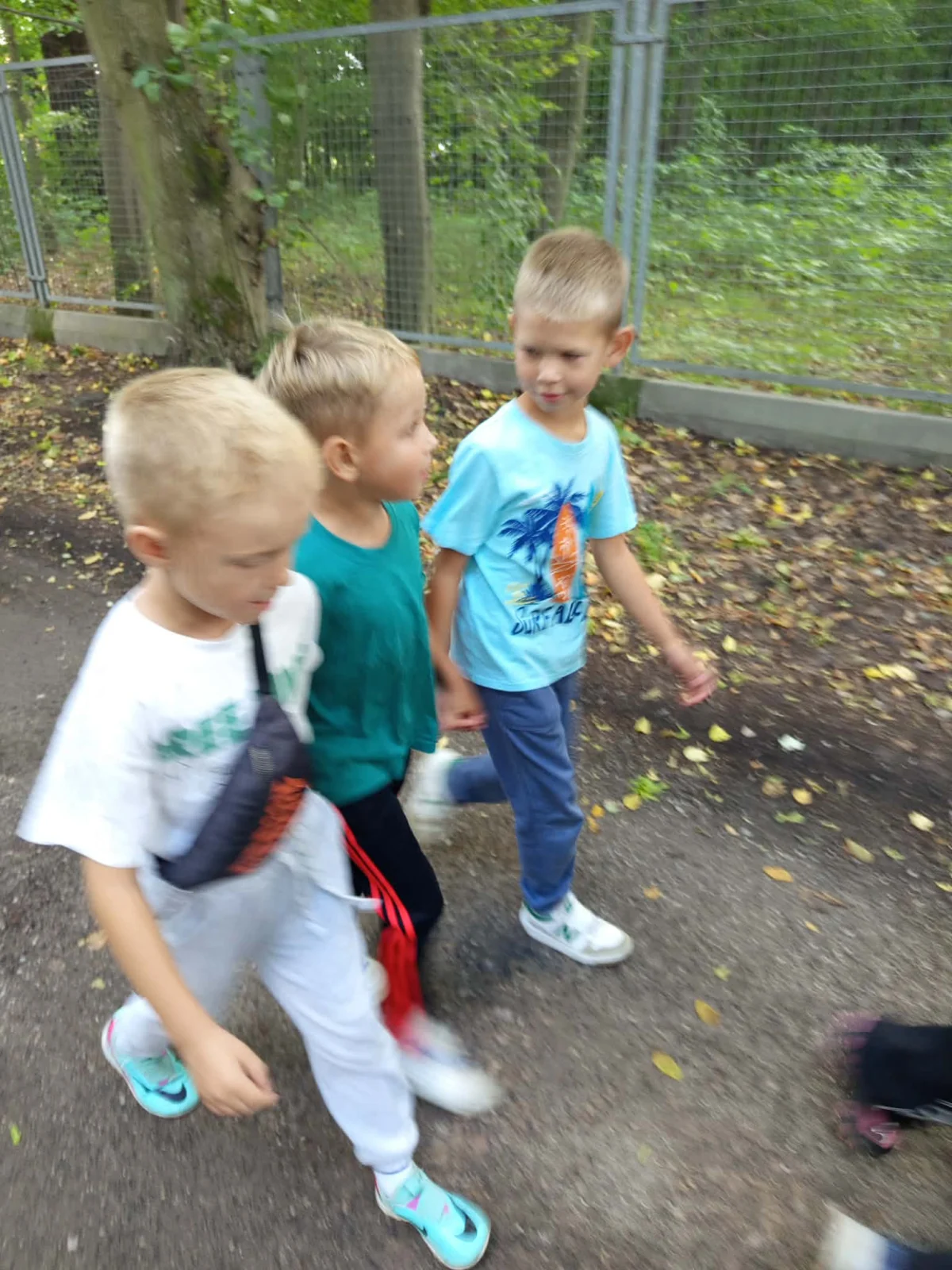 „Fotorelacja z 8. tygodnia Akcji Lato 2026 w Świetlicy Lipa w Łazach